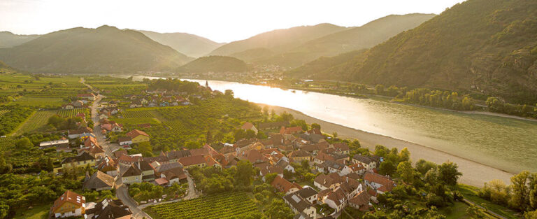 Poechlinger_Pöchlinger_Weingarten_Wachau_Winzer_Marille_Top_Heurigen_Südufer_Jause_Vinothek