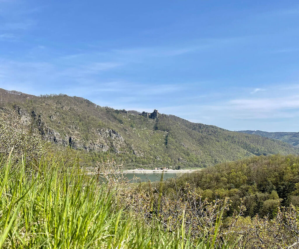rundwanderung_willendorf_ruine-aggstein_wachau