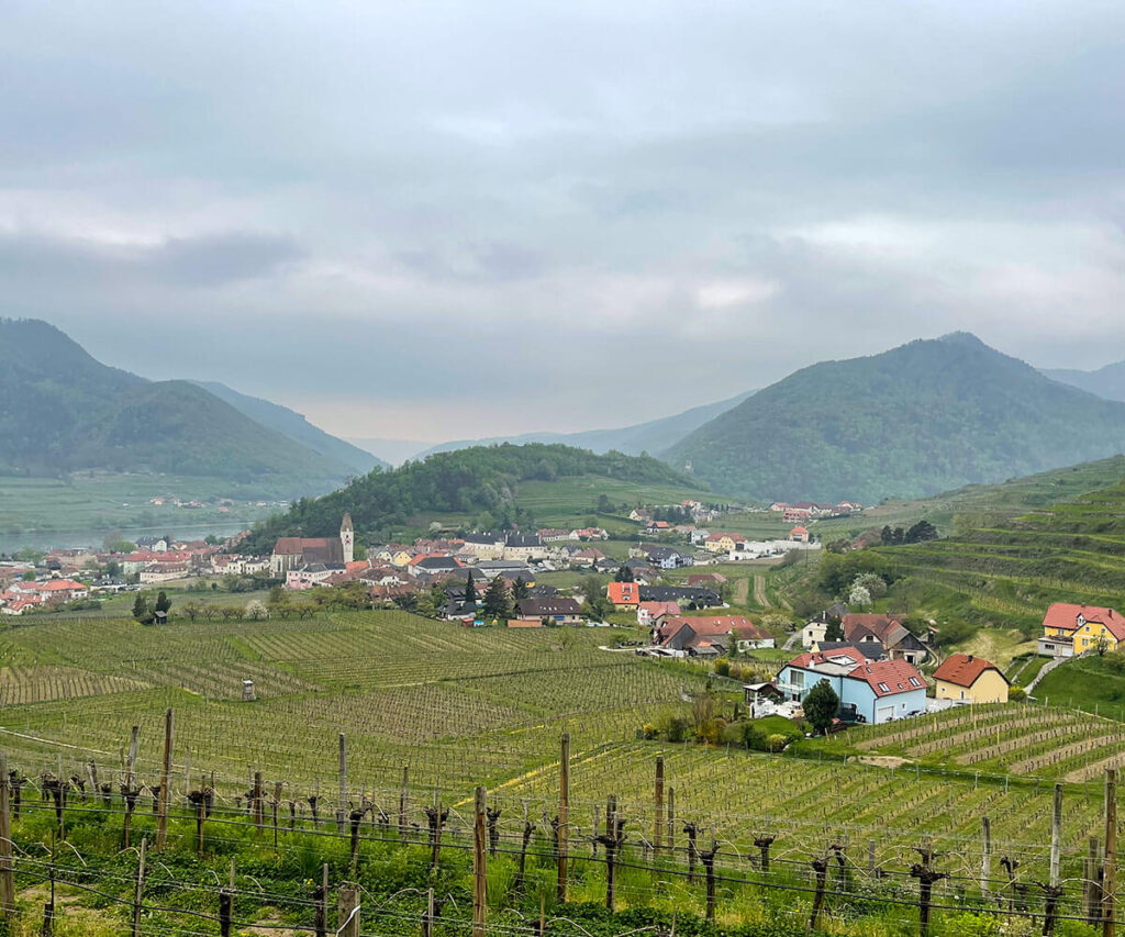 weinwanderweg_spitz_wachau_ausblick