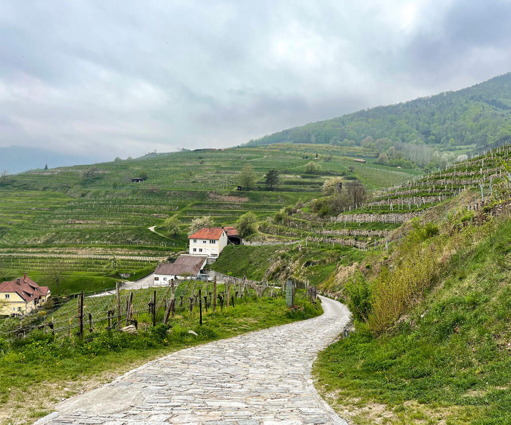 weinwanderweg_spitz_wachau_wandern