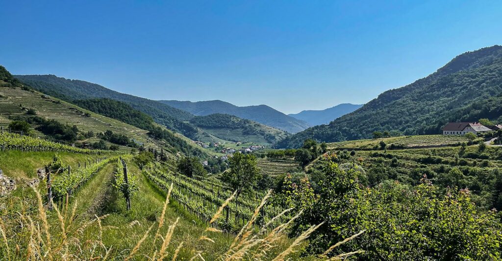 Ausblick von der Kanzel in Dürnstein auf die Donau in der Wachau