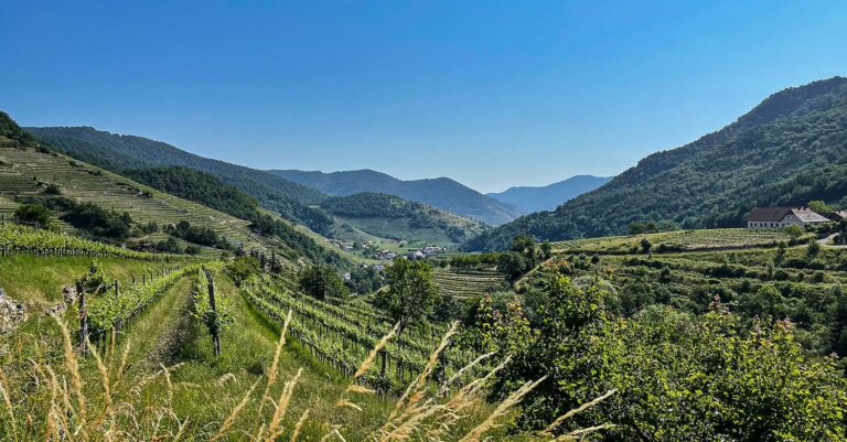 Ausblick von der Kanzel in Dürnstein auf die Donau in der Wachau