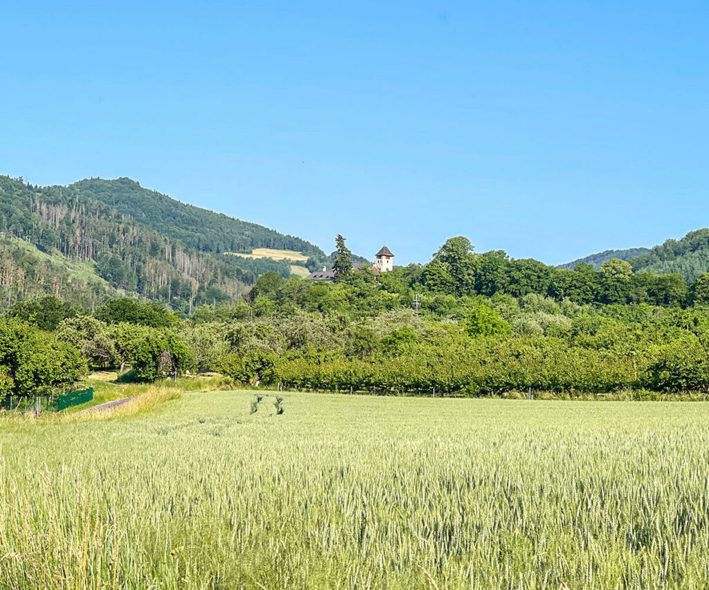 panoramaweg-spitzergraben_mühldorf_wachau
