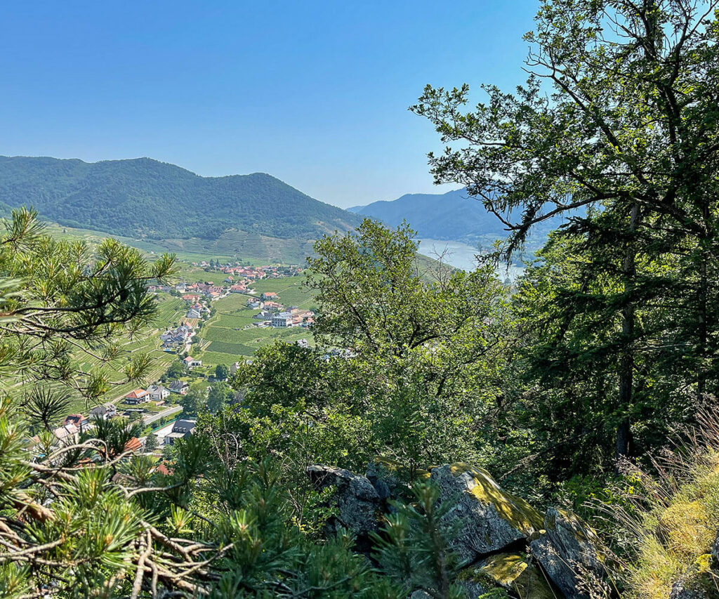 panoramaweg-spitzergraben_steirerhoeh_wachau