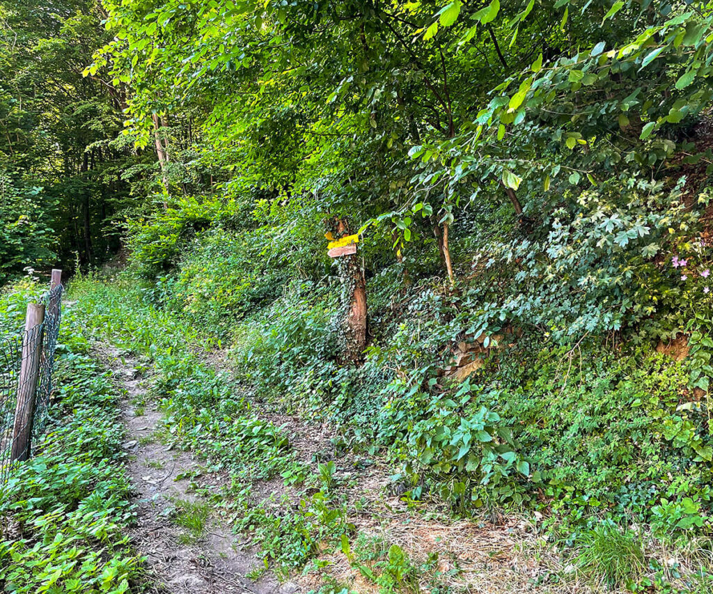panoramaweg-spitzergraben_wachau