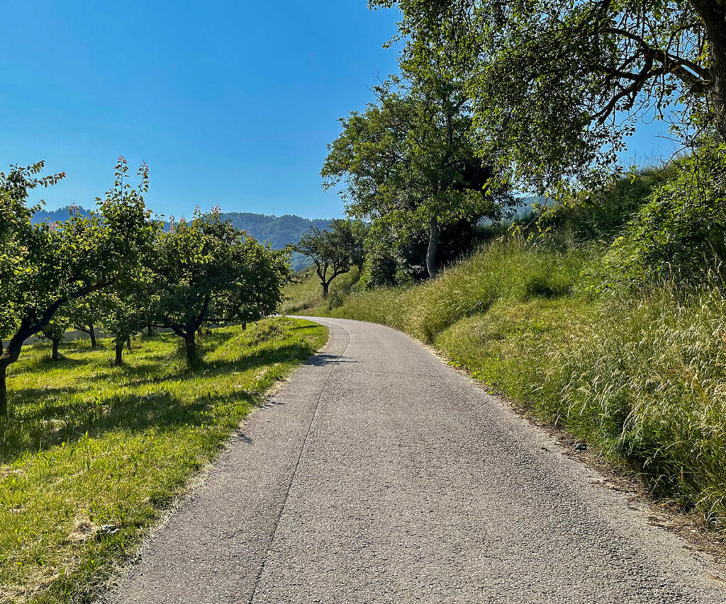 panoramaweg-spitzergraben_wachau-viessling