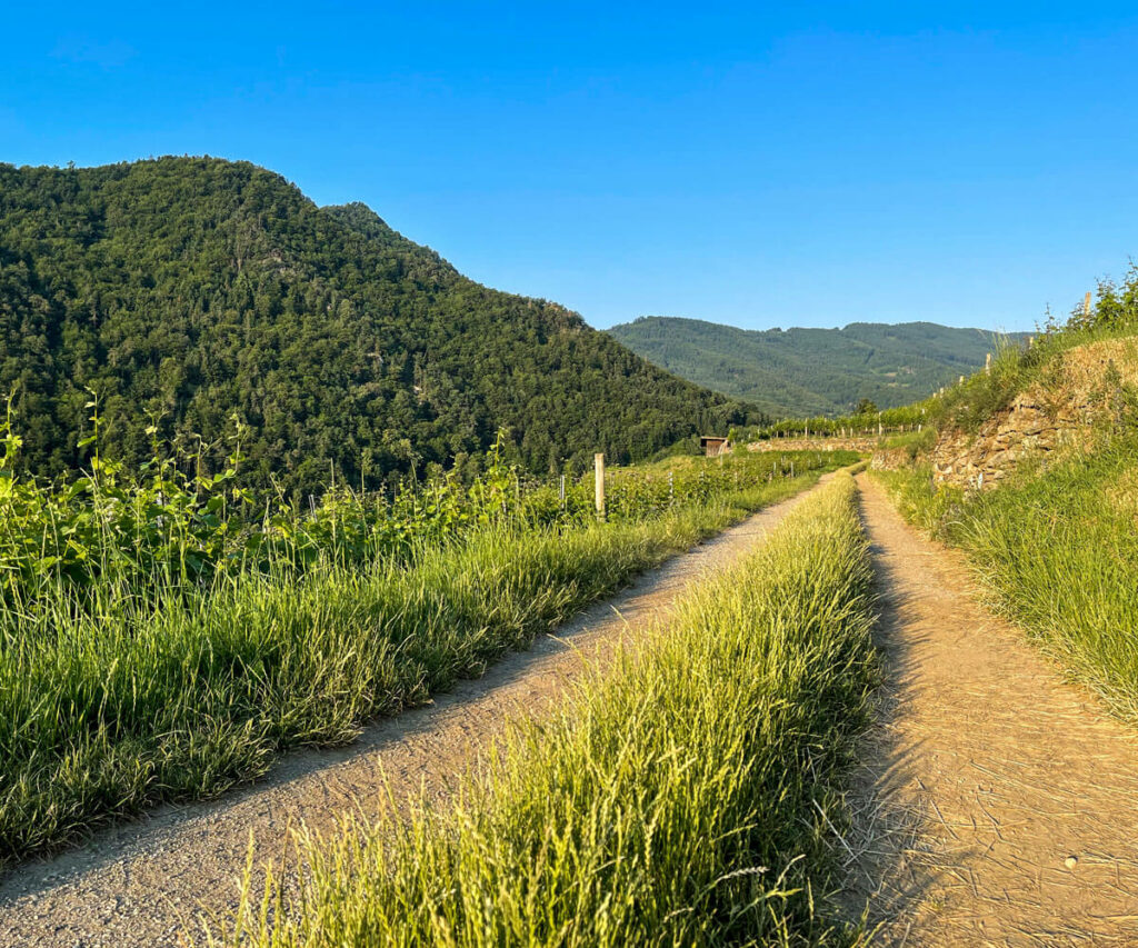 panoramaweg-spitzergraben_wandern
