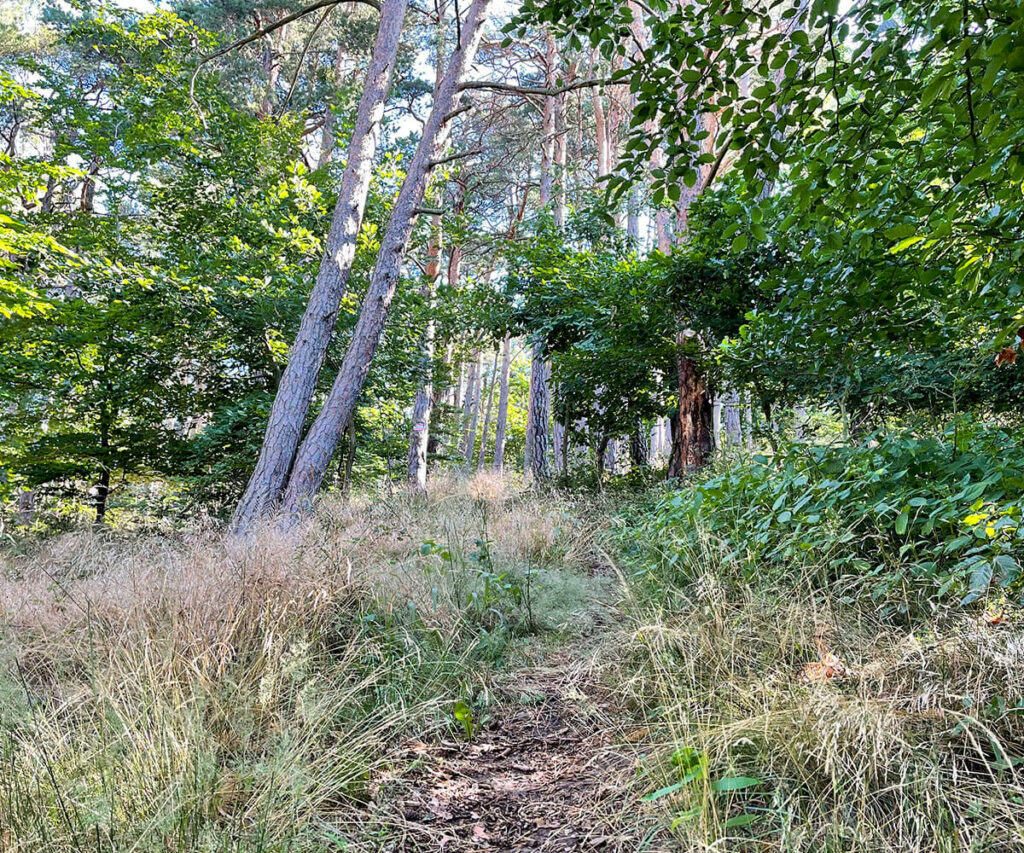 jauerling-runde_aufstieg_weiten