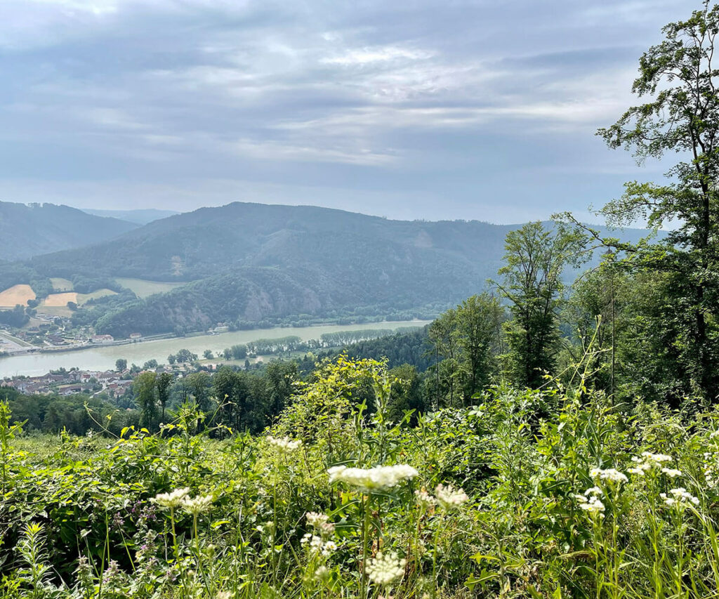 jauerling-runde_ausblick_aggsbach