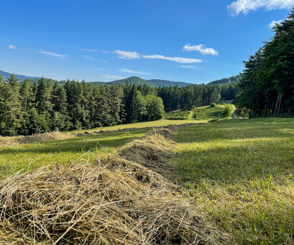 jauerling-runde_naturpark