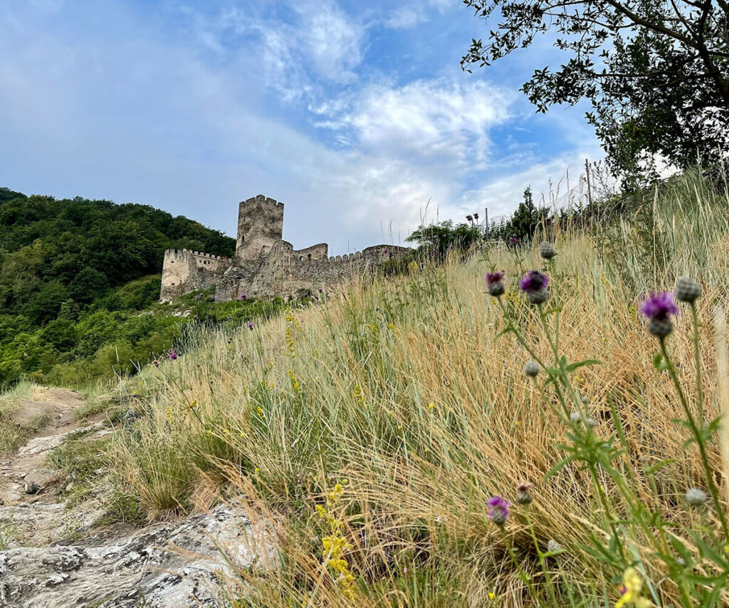 jauerling-runde_ruine-hinterhaus