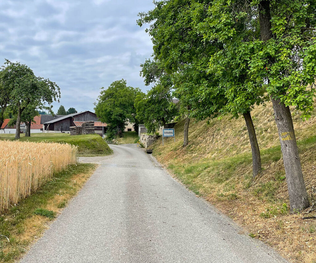 jauerling-runde_schlaubing_wandern