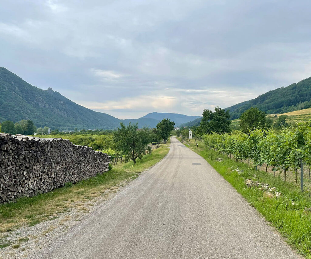 jauerling-runde_schwallenbach_wandern_wachau