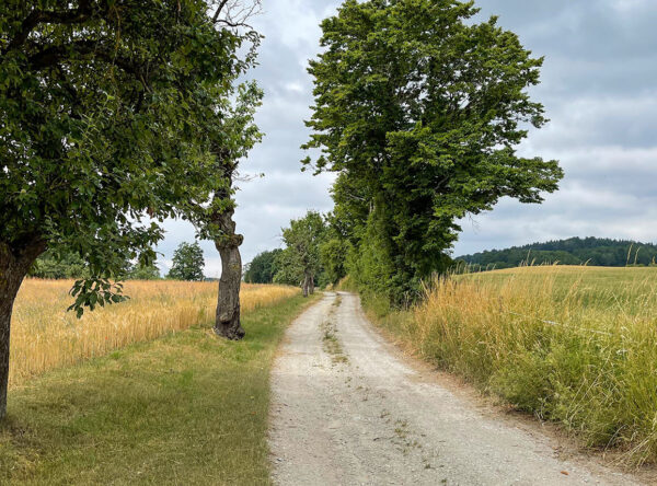 Jauerling-Runde Aggsbach-Markt - Maria Laach