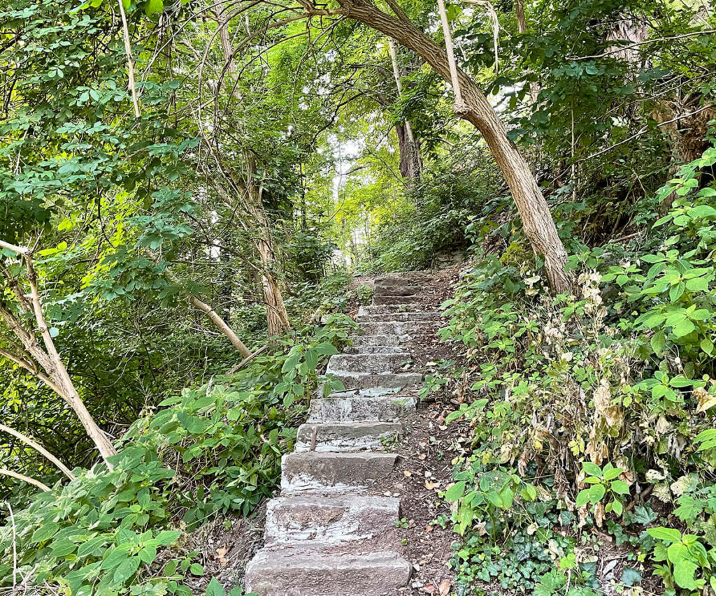 jauerling-runde_wachau_spitz_wandern