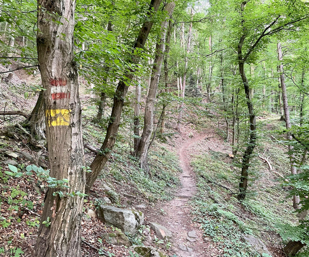 jauerling-runde_weitwanderung_wachau