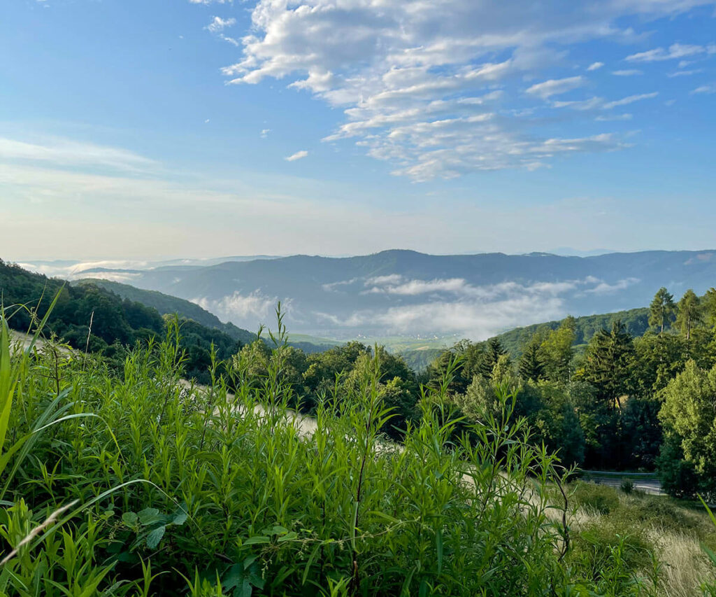 ausblick_seiber_wachau