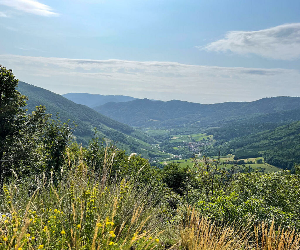 jauerling-runde_ausblick-trenning