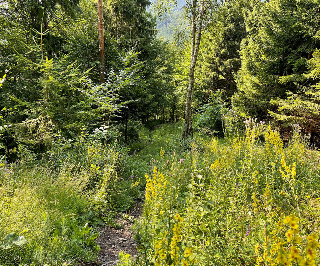 jauerling-runde_mühldorf-steig
