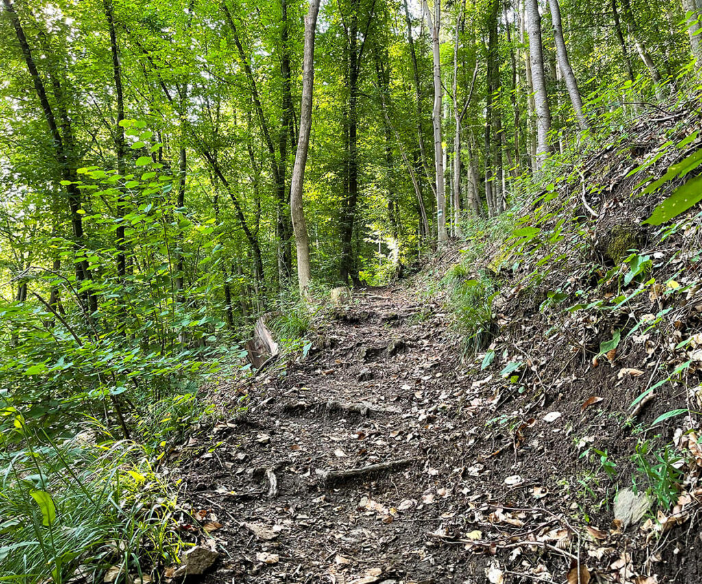 jauerling-runde_mühldorf_waldweg