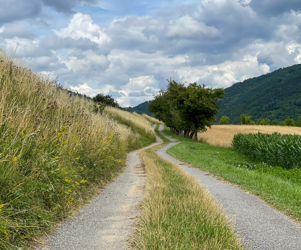 jauerling-runde_richtung-oetz