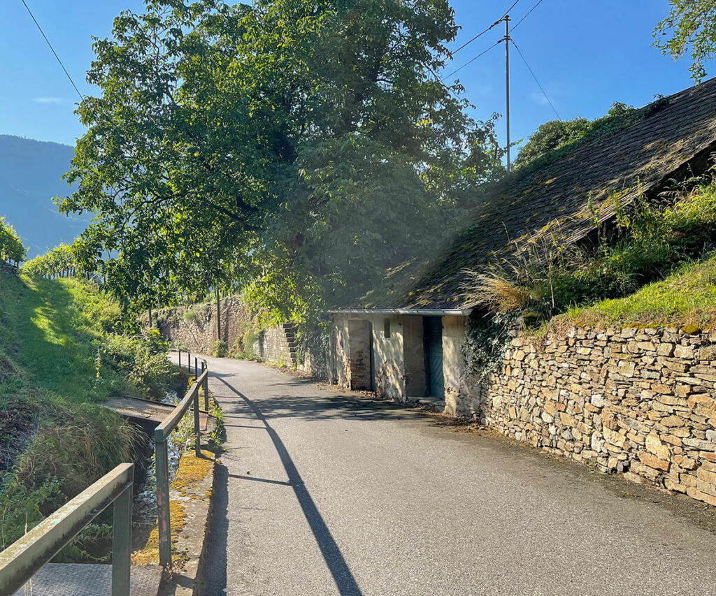 kellergasse_wösendorf_wandern_wachau