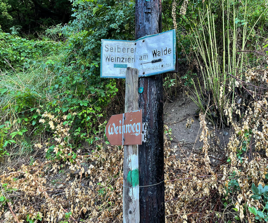 weinweg_weissenkirchen_wachau