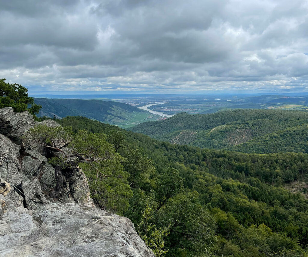 ausblick_hirschwand_wachau