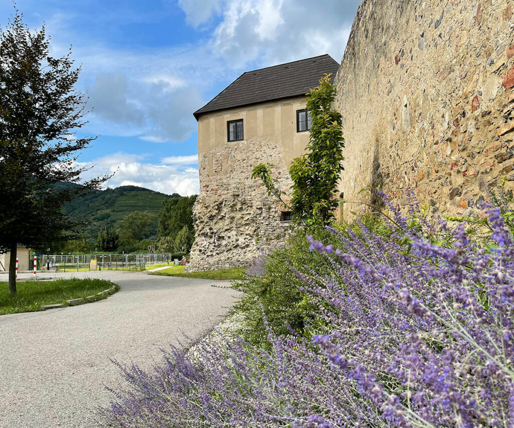mautern_am-limes_welterbesteig_wachau