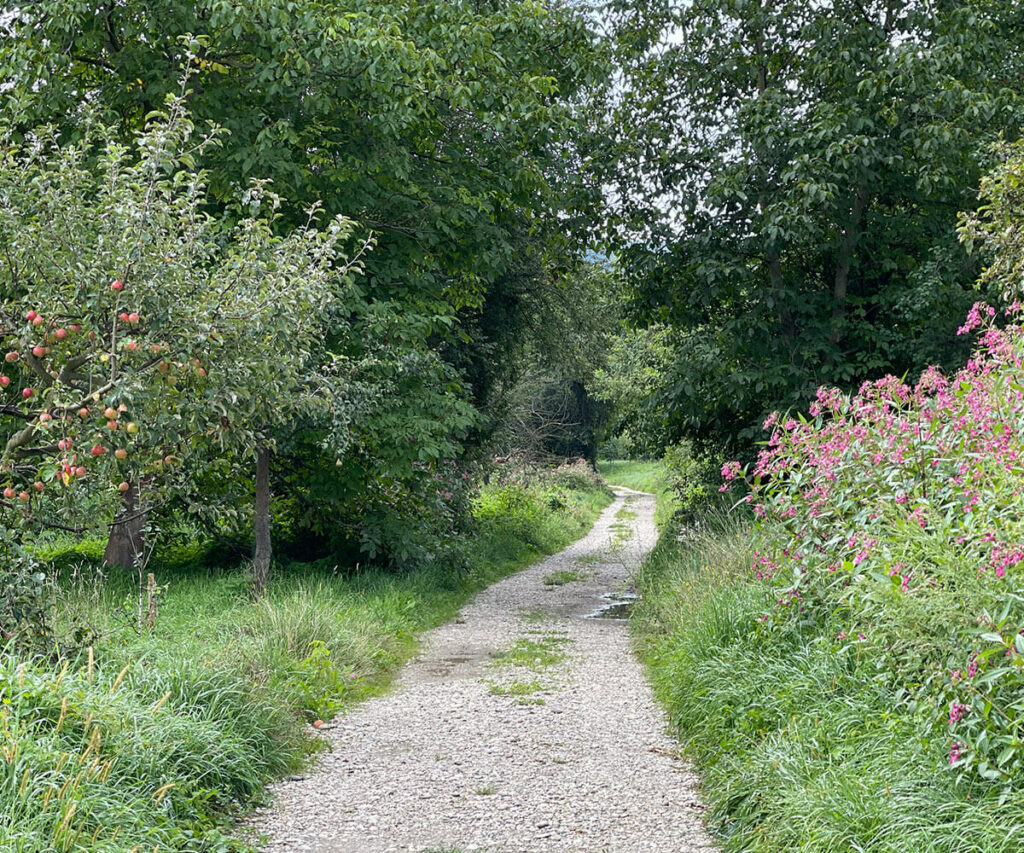 rossatz_wandern_welterbesteig
