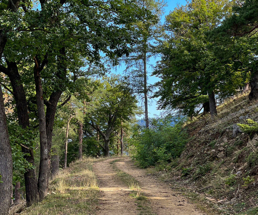 rossatz_wandern_welterbesteig_wachau