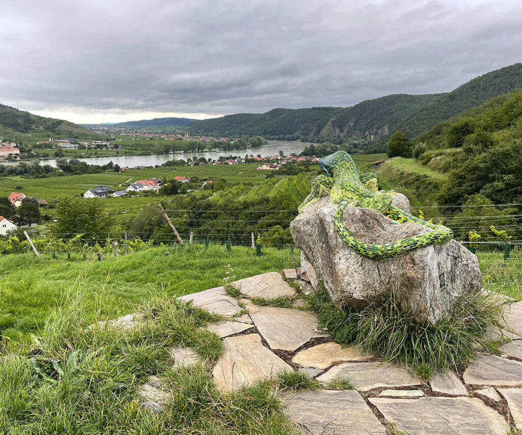 smaragdeidechse_rossatz_wachau