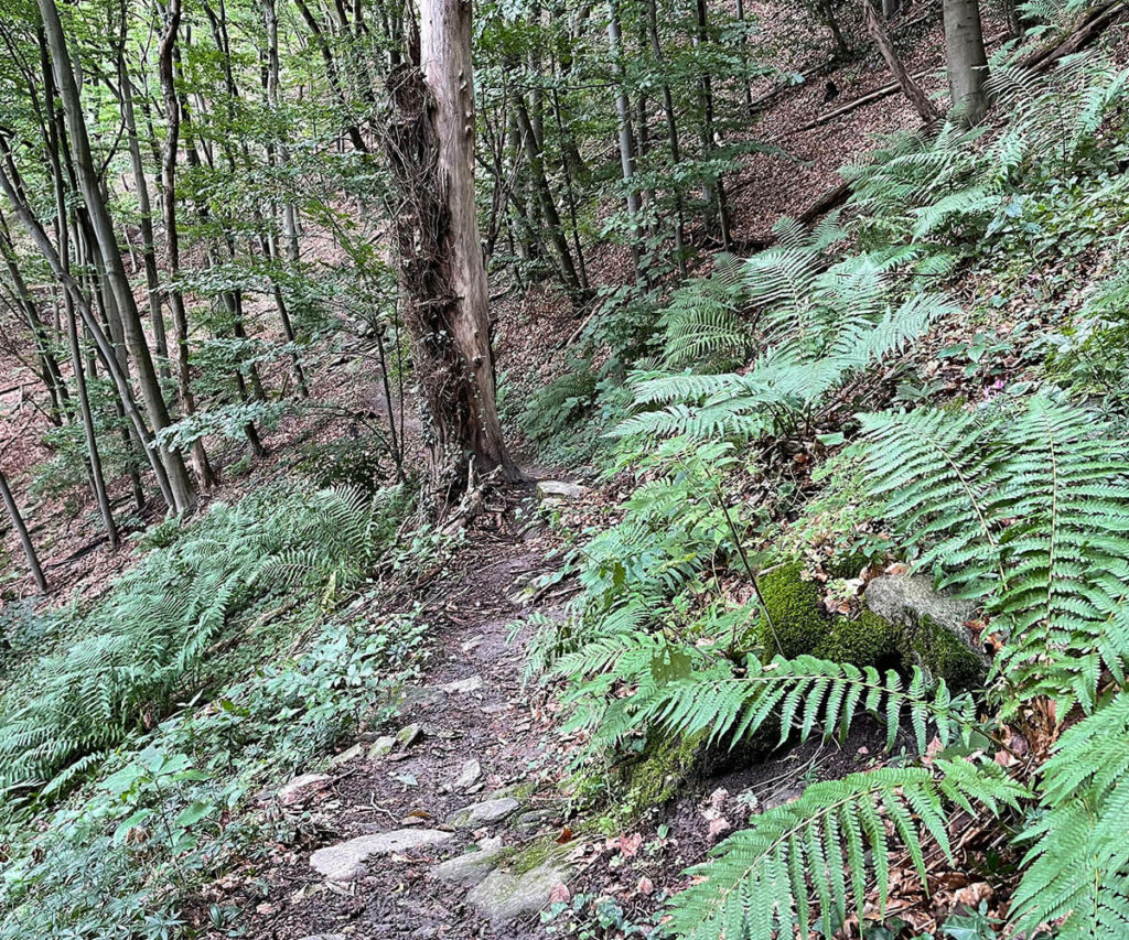 steinige-ries_wachau_wandern