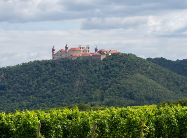 Wandern am Welterbesteig Oberbergern - Mautern