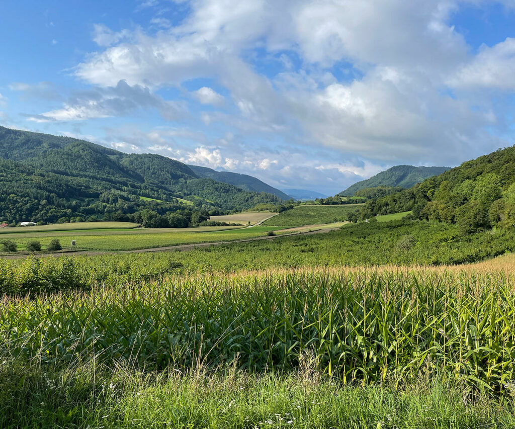 wachau_wandern_welterbesteig