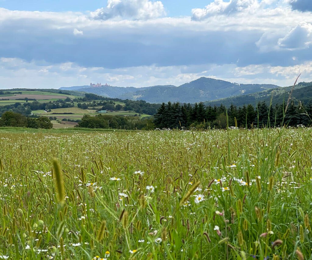wandern_welterbesteig_wachau_oberbergern