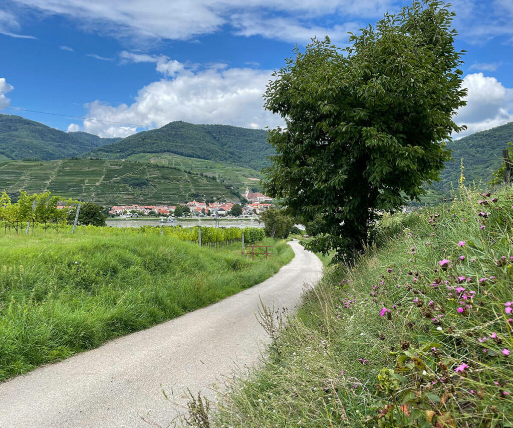 welterbesteig_arnsdorf_wachau