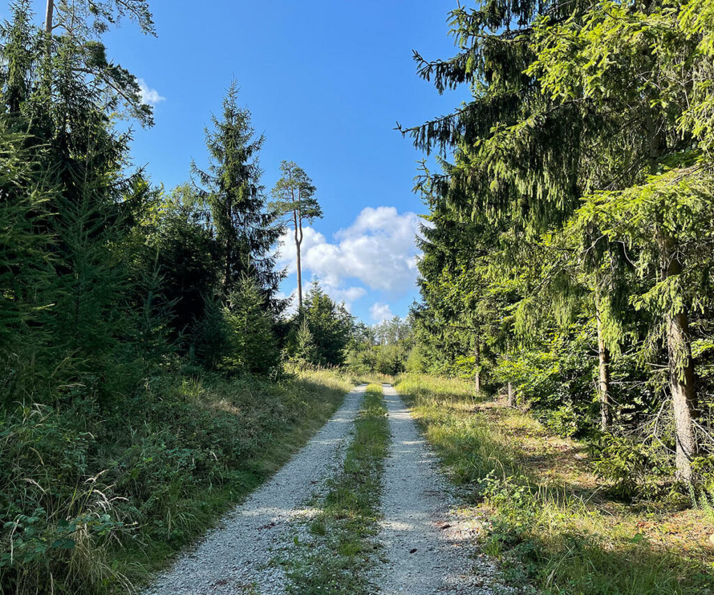 welterbesteig_wachau_wandern_oberbergern