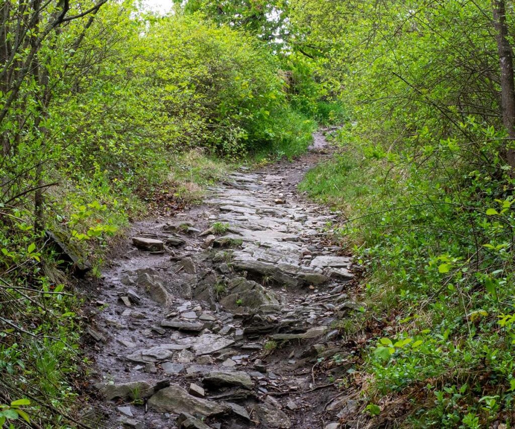 Bärenschlucht Wandern Wachau Spitz