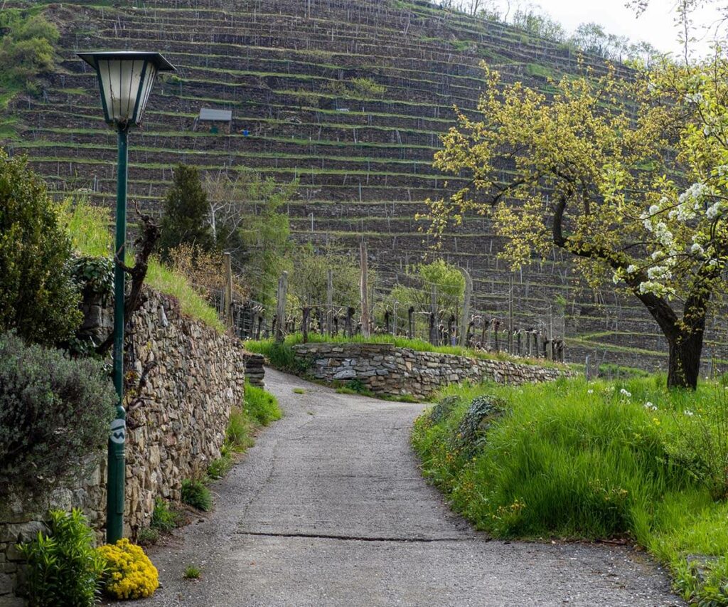 Ausflug Familie Niederösterreich Wachau