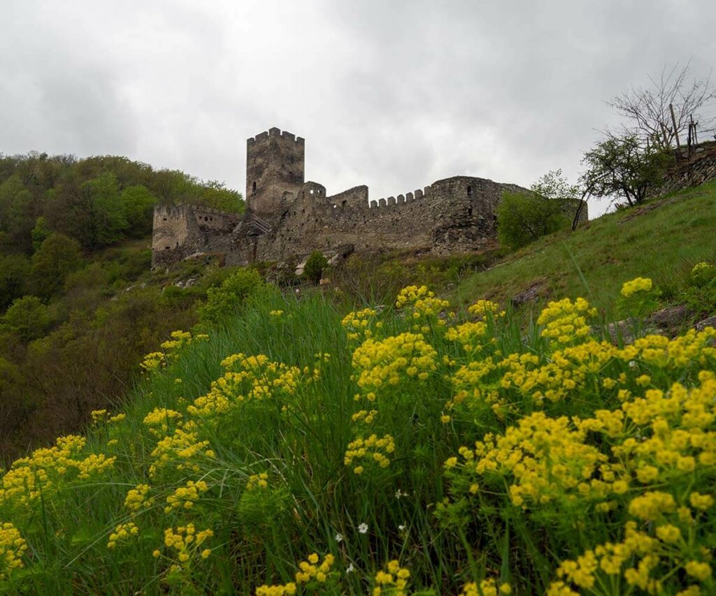Ausflugsziel Niederösterreich Ruine Hinterhaus Spitz Wachau