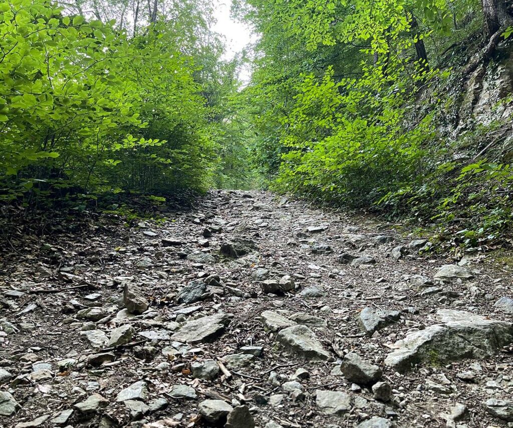 eselsteig_aggstein