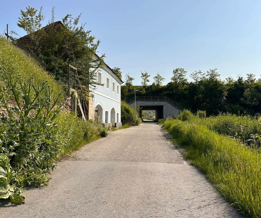 krems_wanderung_sandgrube_leithen