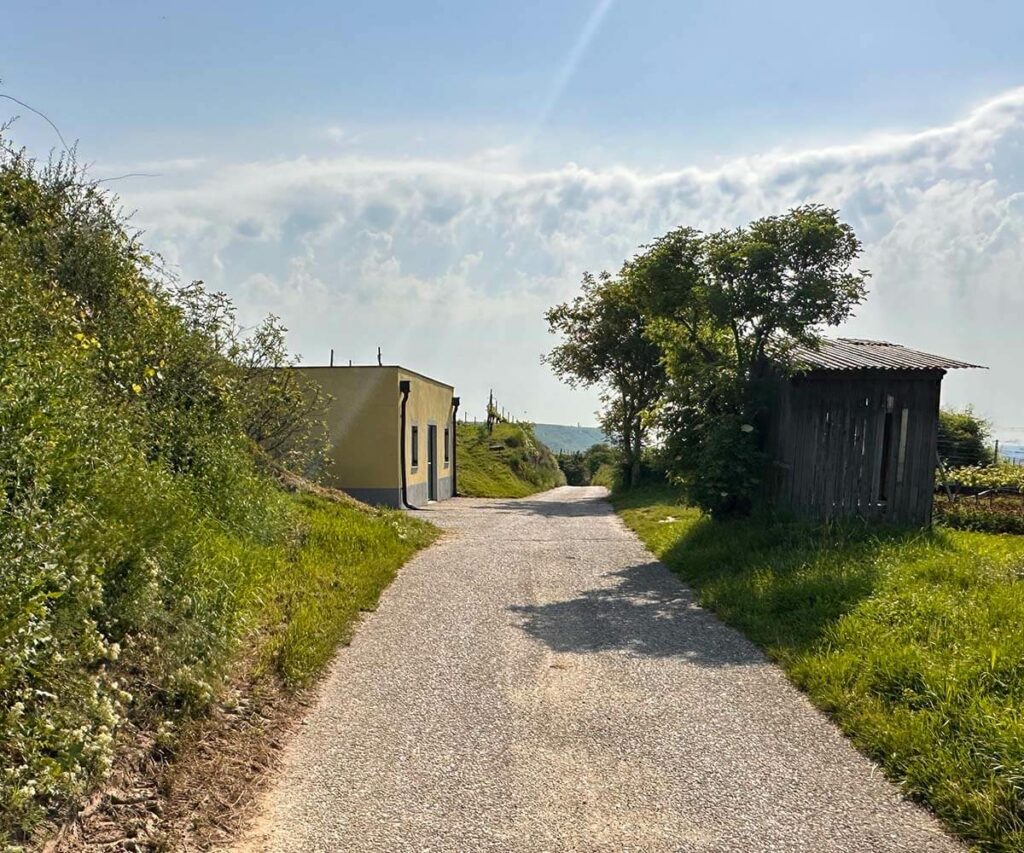 krems_wanderung_sandgruben-rundweg_frechauluke