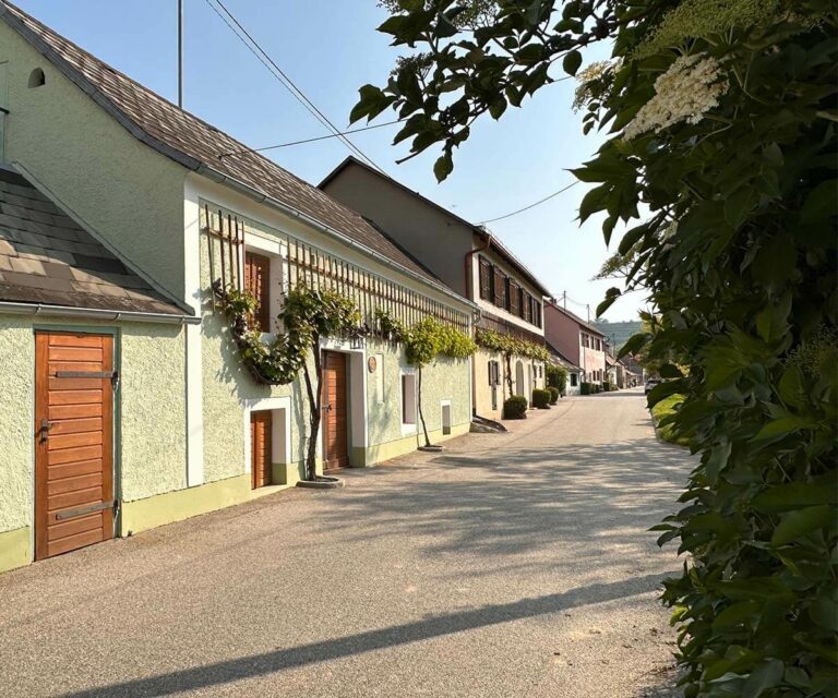krems_wanderung_sandgruben-rundweg_kellergasse-leithen