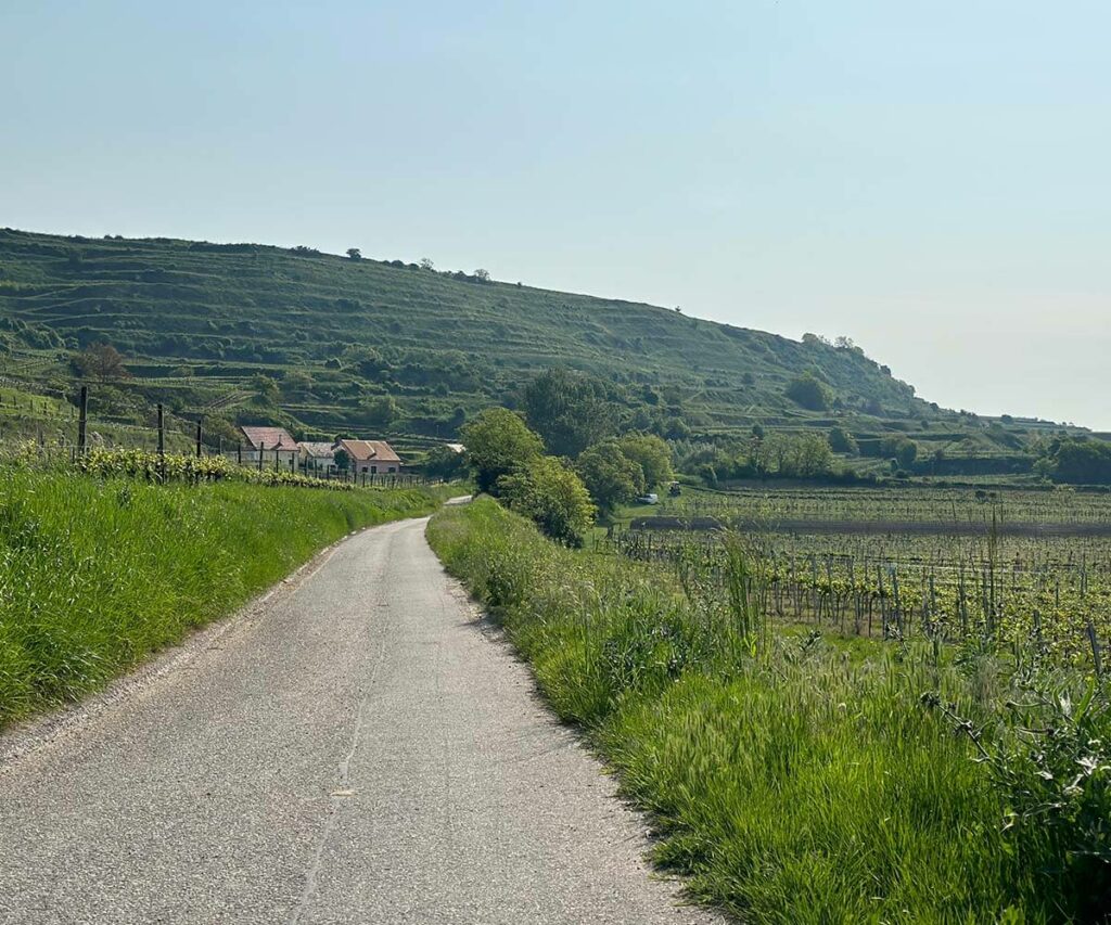 krems_wanderung_sandgruben-rundweg_leithen