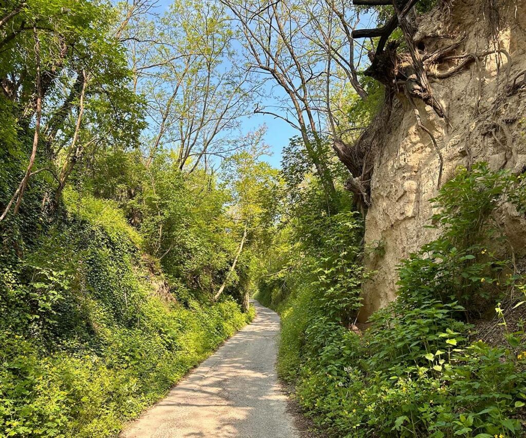 krems_wanderung_sandgruben-rundweg_lösswand