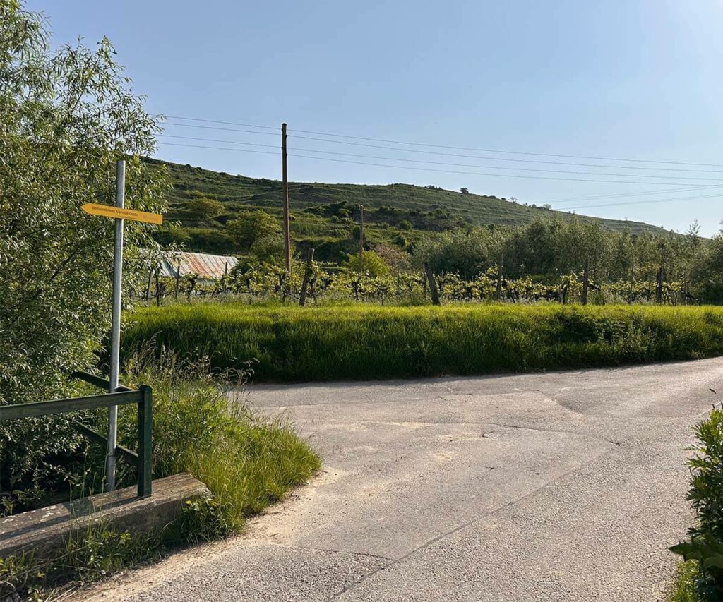 krems_wanderung_sandgruben-rundweg_weggabelung