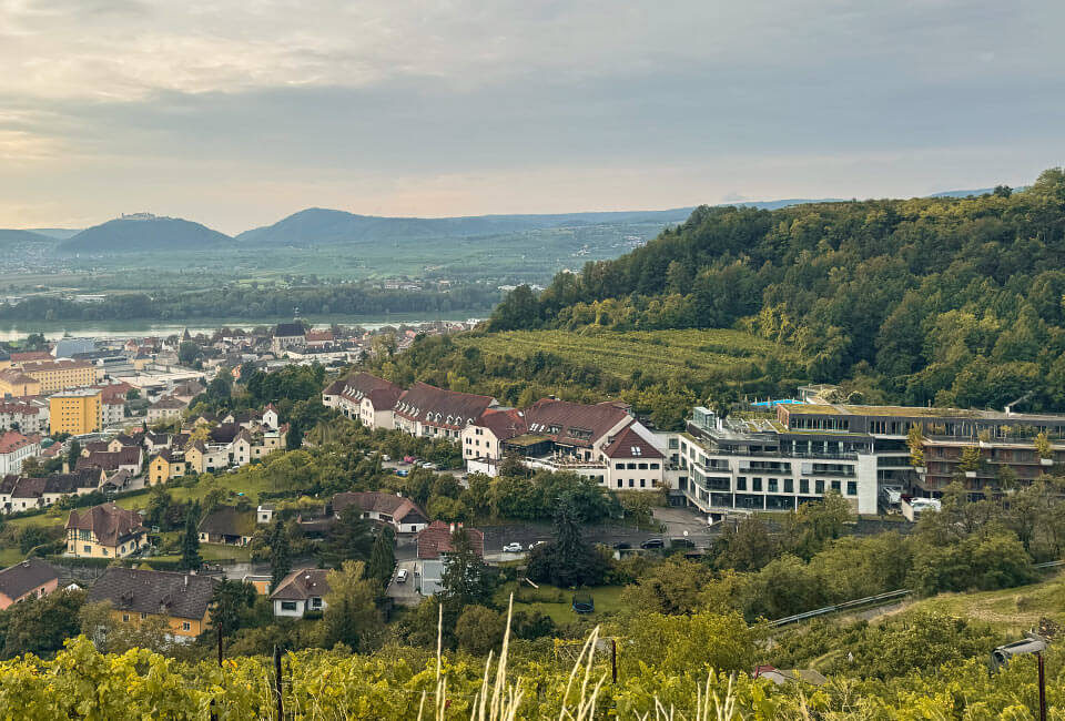 Ausblick auf Krems/Stein über die Donau