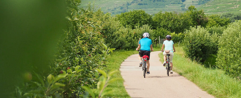 Radfahrer am Donauradweg Wachau.